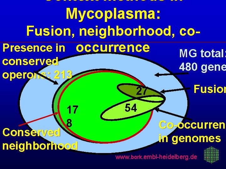 Context methods in Mycoplasma: Fusion, neighborhood, co. Presence in occurrence MG total: conserved operons:
