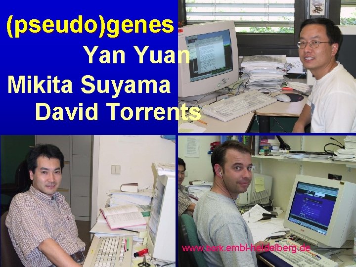 (pseudo)genes Yan Yuan Mikita Suyama David Torrents www. bork. embl-heidelberg. de 