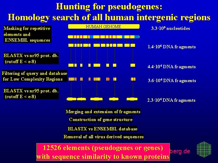 Hunting for pseudogenes: Homology search of all human intergenic regions HUMAN GENOME Masking for