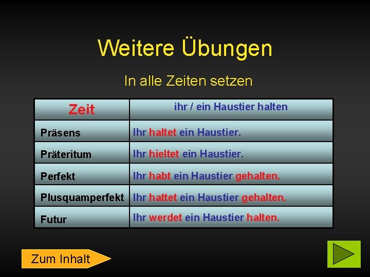 Weitere Übungen In alle Zeiten setzen Zeit ihr / ein Haustier halten Präsens Ihr