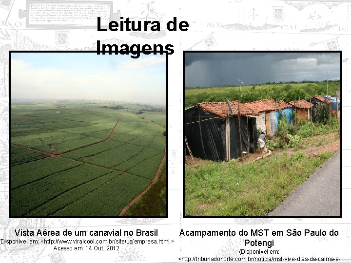 Leitura de Imagens Vista Aérea de um canavial no Brasil (Disponível em: <http: //www.