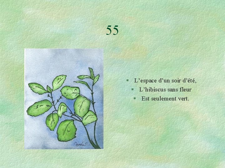 55 § L’espace d’un soir d’été, § L’hibiscus sans fleur § Est seulement vert.