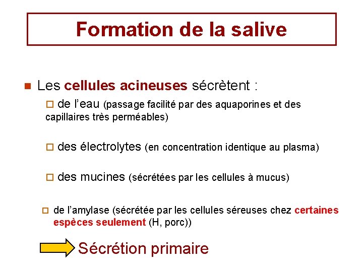 Formation de la salive n Les cellules acineuses sécrètent : ¨ de l’eau (passage Formation de la salive n Les cellules acineuses sécrètent : ¨ de l’eau (passage