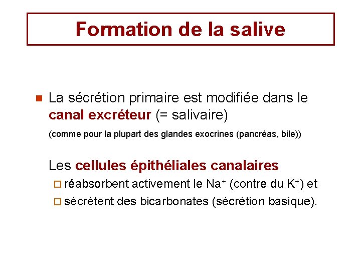 Formation de la salive n La sécrétion primaire est modifiée dans le canal excréteur Formation de la salive n La sécrétion primaire est modifiée dans le canal excréteur