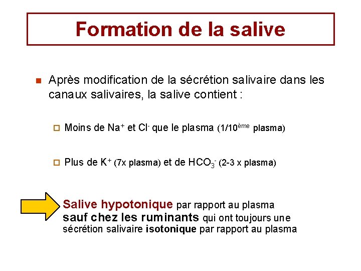 Formation de la salive n Après modification de la sécrétion salivaire dans les canaux Formation de la salive n Après modification de la sécrétion salivaire dans les canaux