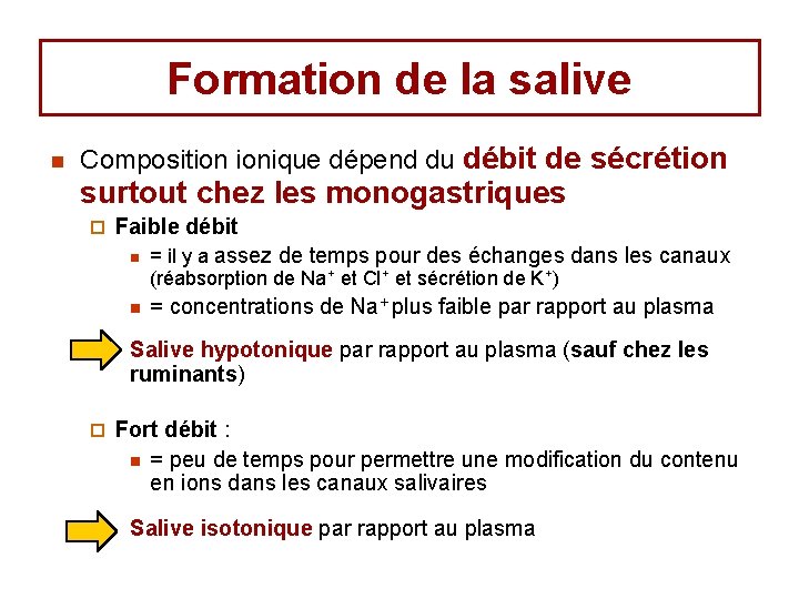 Formation de la salive n Composition ionique dépend du débit de sécrétion surtout chez Formation de la salive n Composition ionique dépend du débit de sécrétion surtout chez