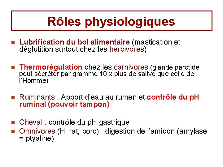 Rôles physiologiques n Lubrification du bol alimentaire (mastication et déglutition surtout chez les herbivores) Rôles physiologiques n Lubrification du bol alimentaire (mastication et déglutition surtout chez les herbivores)
