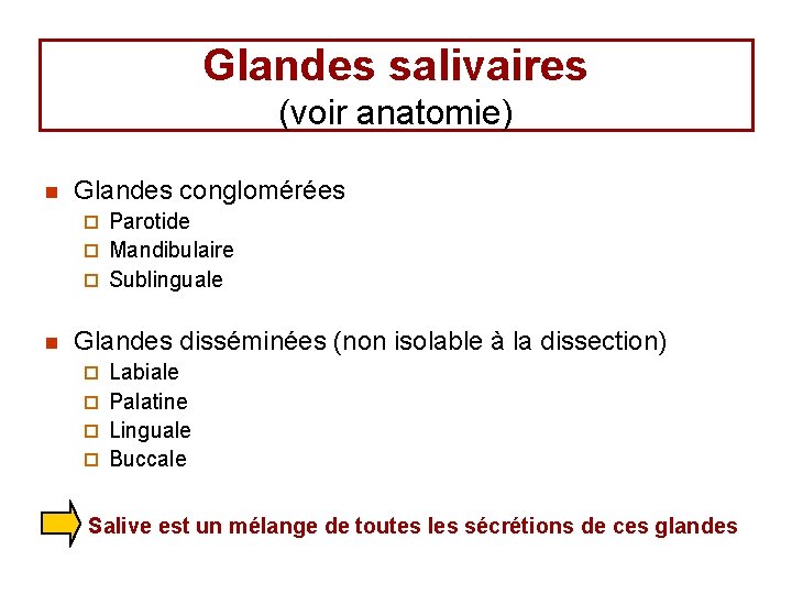 Glandes salivaires (voir anatomie) n Glandes conglomérées Parotide ¨ Mandibulaire ¨ Sublinguale ¨ n Glandes salivaires (voir anatomie) n Glandes conglomérées Parotide ¨ Mandibulaire ¨ Sublinguale ¨ n