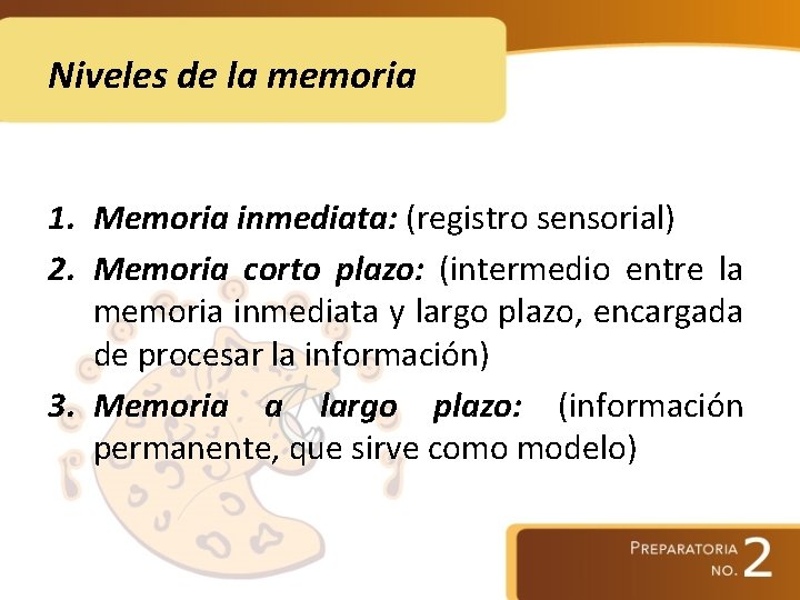 Niveles de la memoria 1. Memoria inmediata: (registro sensorial) 2. Memoria corto plazo: (intermedio