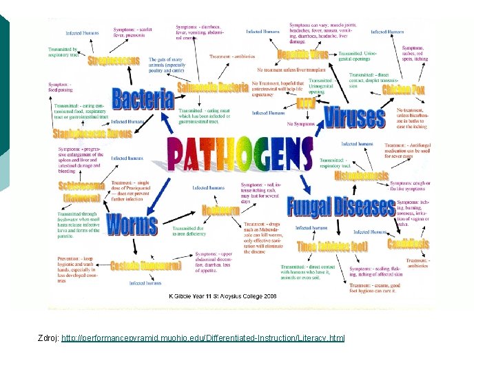 Zdroj: http: //performancepyramid. muohio. edu/Differentiated-Instruction/Literacy. html 