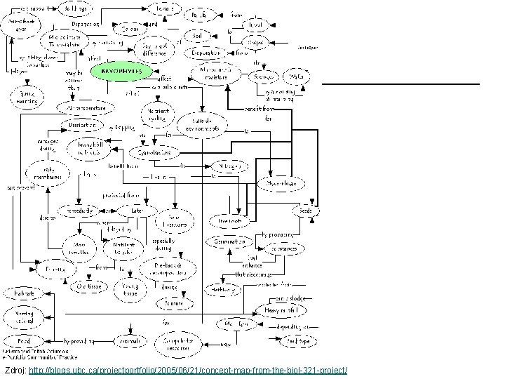 Zdroj: http: //blogs. ubc. ca/projectportfolio/2005/06/21/concept-map-from-the-biol-321 -project/ 