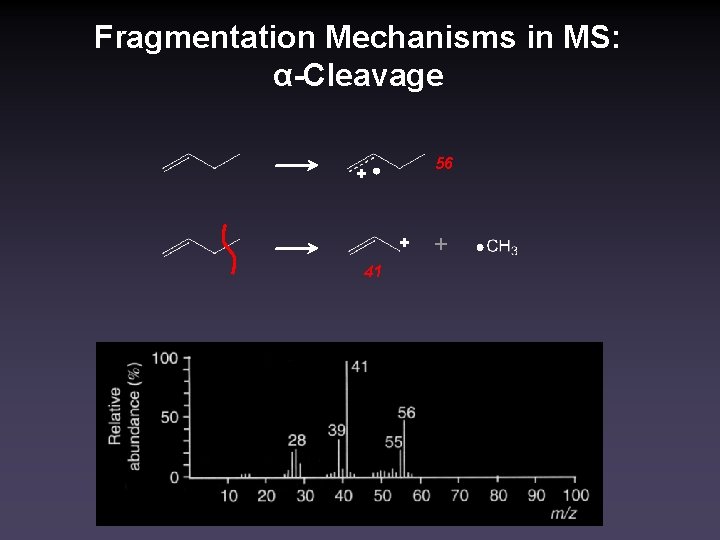 Fragmentation Mechanisms in MS: α-Cleavage 56 + + 41 + 