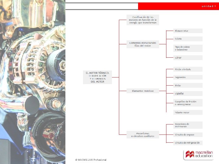 unidad 1 © MACMILLAN Profesional 
