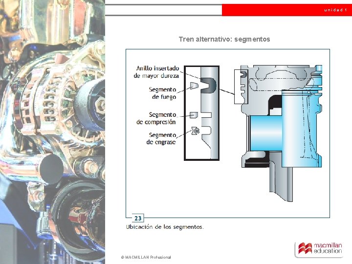 unidad 1 Tren alternativo: segmentos © MACMILLAN Profesional 