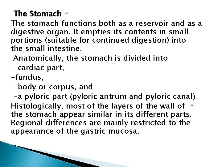 The Stomach The stomach functions both as a reservoir and as a digestive organ.