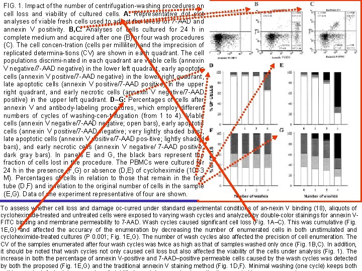 FIG. 1. Impact of the number of centrifugation-washing procedures on cell loss and viability