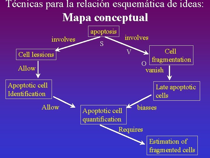 Técnicas para la relación esquemática de ideas: Mapa conceptual involves Cell lessions Allow Apoptotic