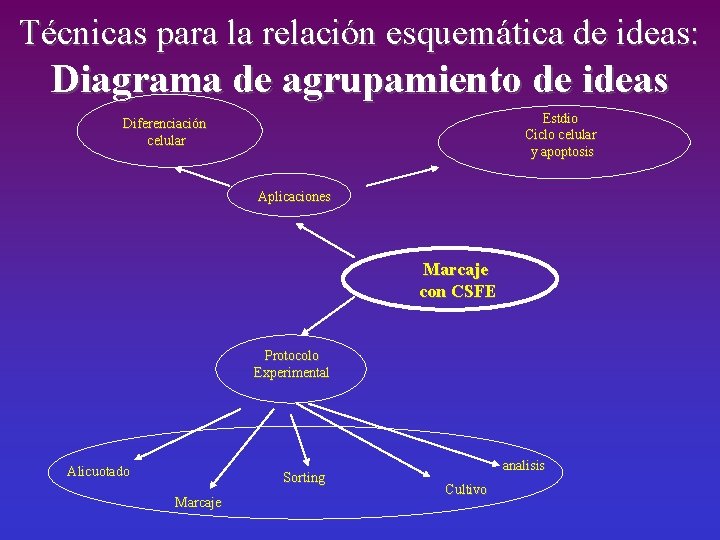 Técnicas para la relación esquemática de ideas: Diagrama de agrupamiento de ideas Estdio Ciclo