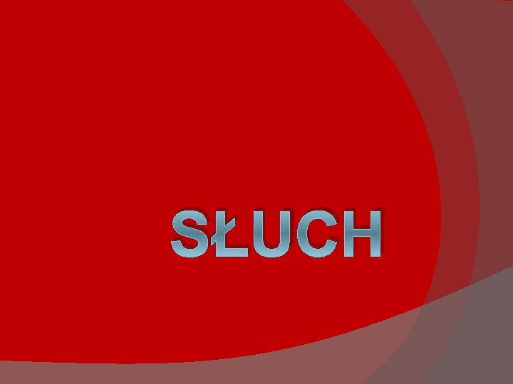 SŁUCH 