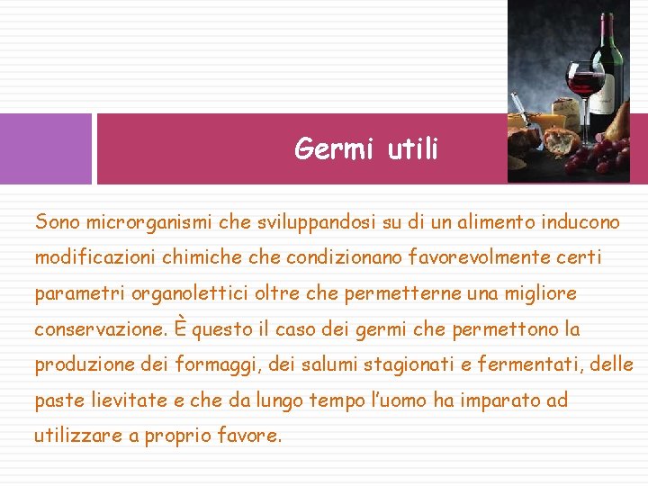 Germi utili Sono microrganismi che sviluppandosi su di un alimento inducono modificazioni chimiche condizionano