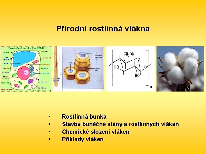 Přírodní rostlinná vlákna • • Rostlinná buňka Stavba buněčné stěny a rostlinných vláken Chemické