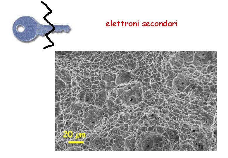 elettroni secondari 20 µm 