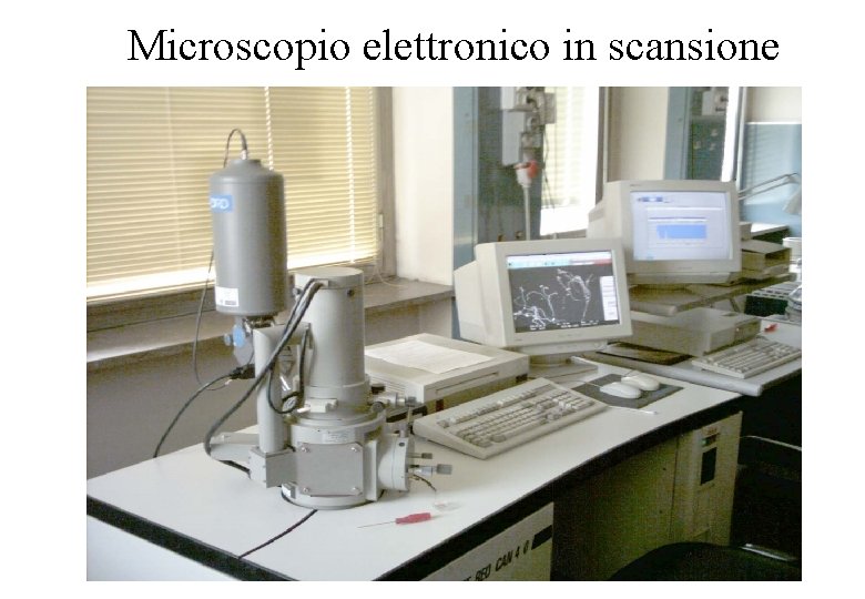 Microscopio elettronico in scansione 