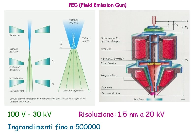 FEG (Field Emission Gun) 100 V - 30 k. V Risoluzione: 1. 5 nm