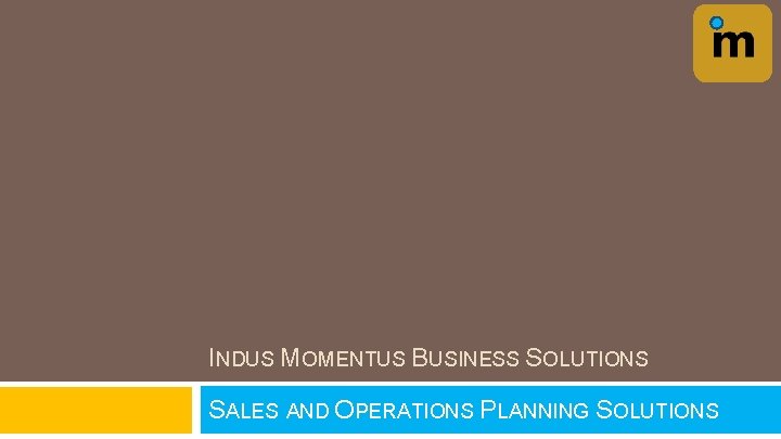 INDUS MOMENTUS BUSINESS SOLUTIONS SALES AND OPERATIONS PLANNING SOLUTIONS 