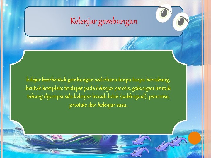 Kelenjar gembungan kelejar beerbentuk gembungan sederhana tanpa bercabang, bentuk kompleks terdapat pada kelenjar parotis,