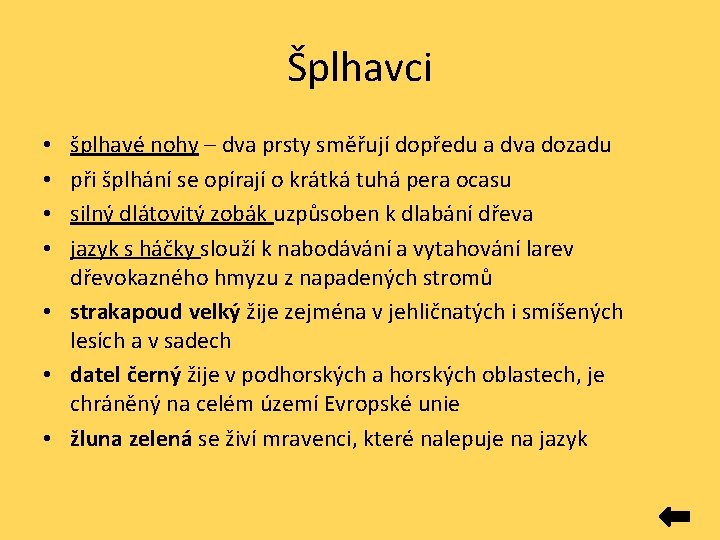 Šplhavci šplhavé nohy – dva prsty směřují dopředu a dva dozadu při šplhání se Šplhavci šplhavé nohy – dva prsty směřují dopředu a dva dozadu při šplhání se
