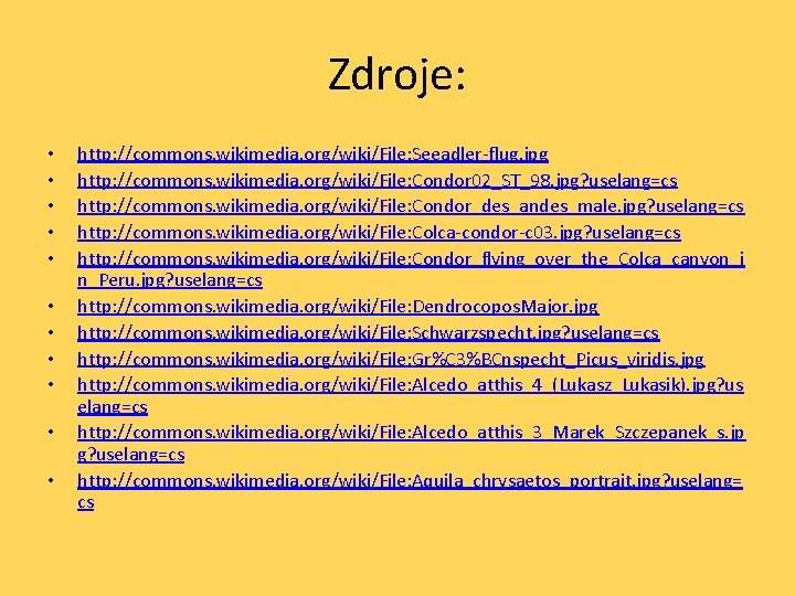 Zdroje: • • • http: //commons. wikimedia. org/wiki/File: Seeadler-flug. jpg http: //commons. wikimedia. org/wiki/File: