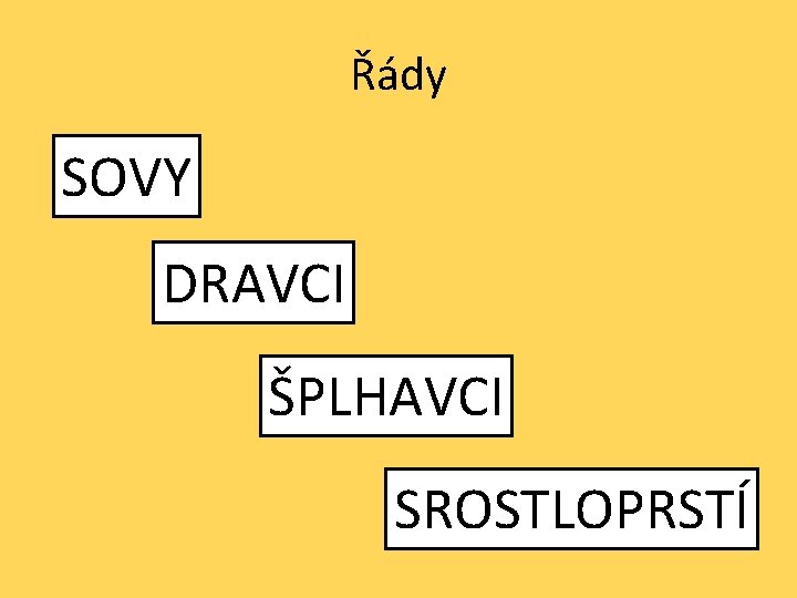 Řády SOVY DRAVCI ŠPLHAVCI SROSTLOPRSTÍ Řády SOVY DRAVCI ŠPLHAVCI SROSTLOPRSTÍ
