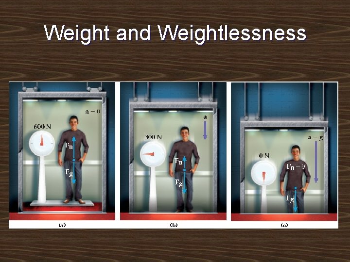 Weight and Weightlessness 