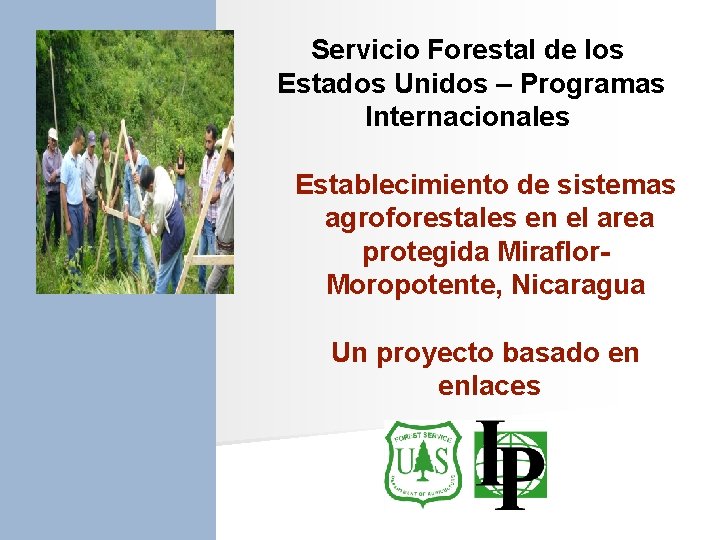 Servicio Forestal de los Estados Unidos – Programas Internacionales Establecimiento de sistemas agroforestales en