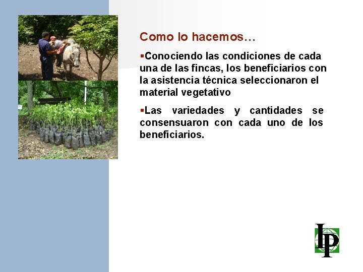 Como lo hacemos… §Conociendo las condiciones de cada una de las fincas, los beneficiarios