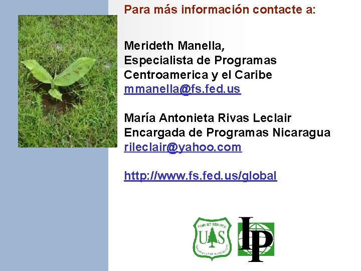 Para más información contacte a: Merideth Manella, Especialista de Programas Centroamerica y el Caribe