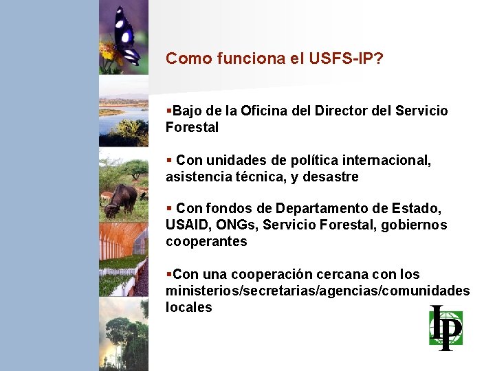 Como funciona el USFS-IP? §Bajo de la Oficina del Director del Servicio Forestal §