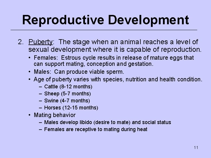 Reproductive Development 2. Puberty: The stage when an animal reaches a level of sexual
