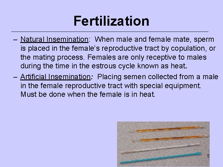 Fertilization – Natural Insemination: When male and female mate, sperm is placed in the