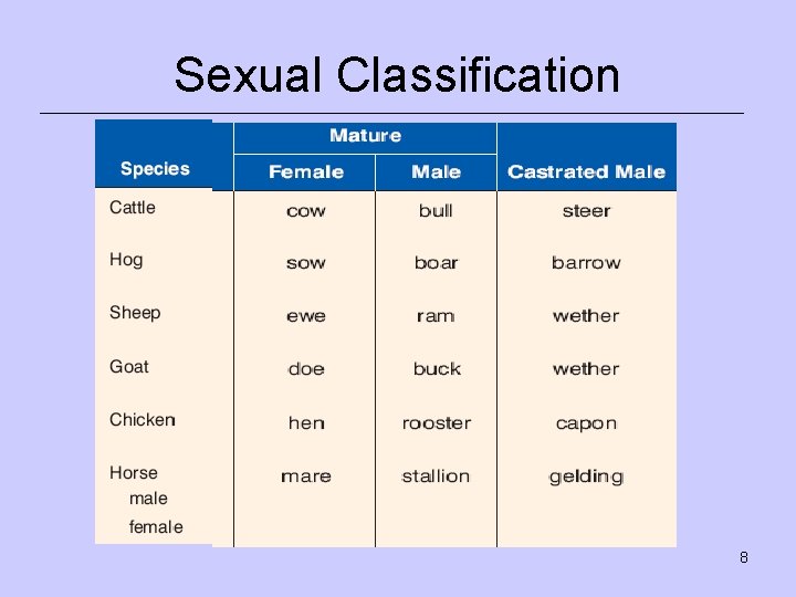 Sexual Classification 8 