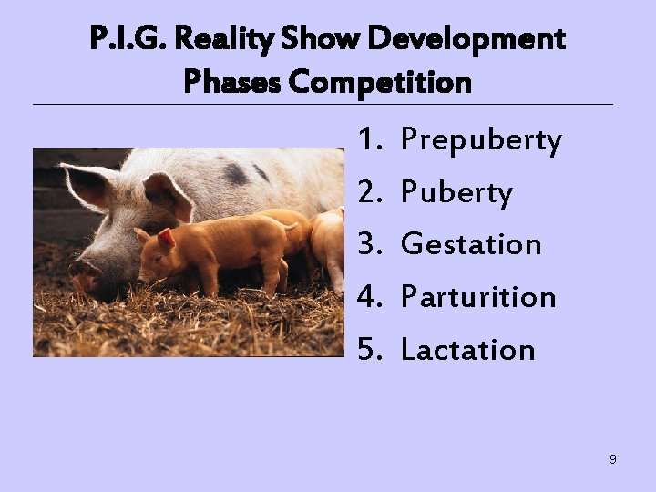 P. I. G. Reality Show Development Phases Competition 1. 2. 3. 4. 5. Prepuberty