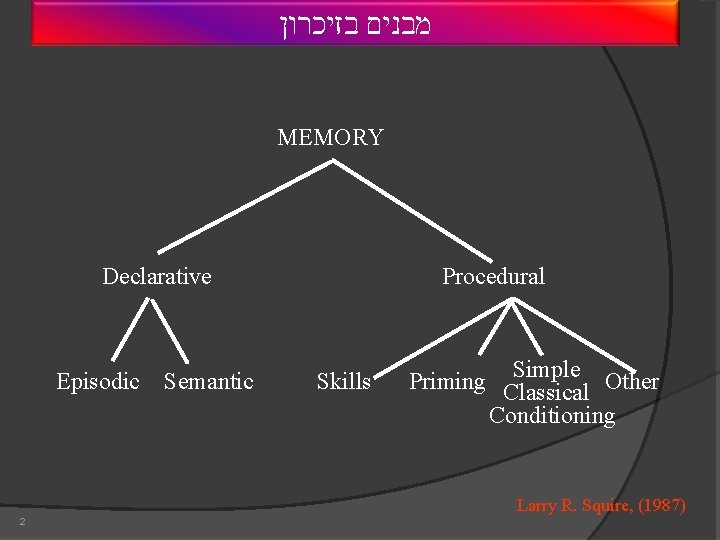  מבנים בזיכרון MEMORY Declarative Episodic Semantic Procedural Skills Simple Other Priming Classical Conditioning