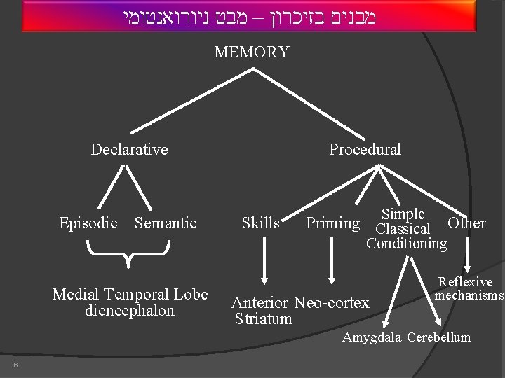  מבנים בזיכרון – מבט ניורואנטומי MEMORY Declarative Episodic Semantic Procedural Skills Simple Priming