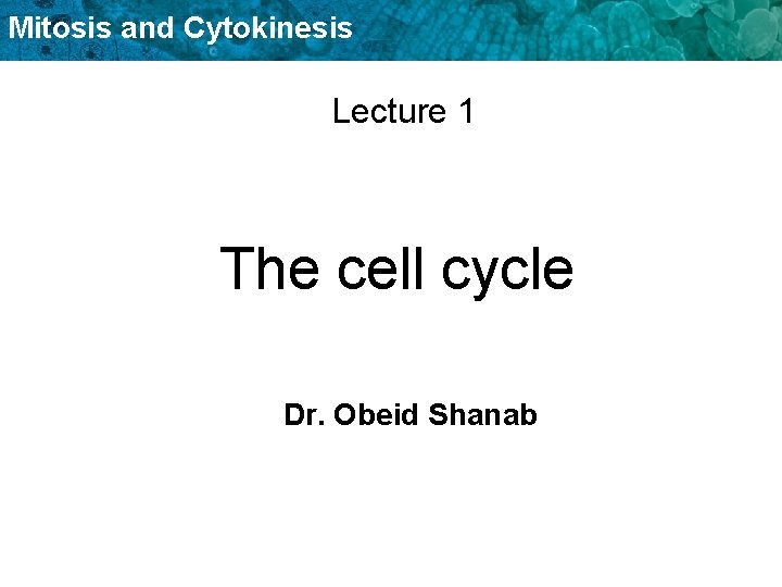 Mitosis and Cytokinesis Lecture 1 The cell cycle Dr. Obeid Shanab 