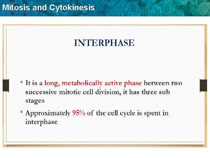 Mitosis and Cytokinesis 