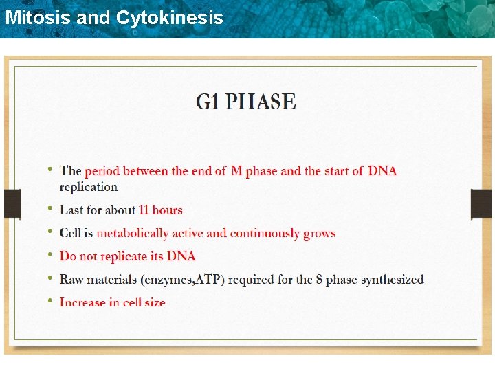 Mitosis and Cytokinesis 