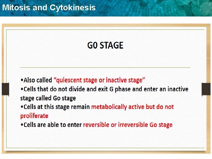 Mitosis and Cytokinesis 