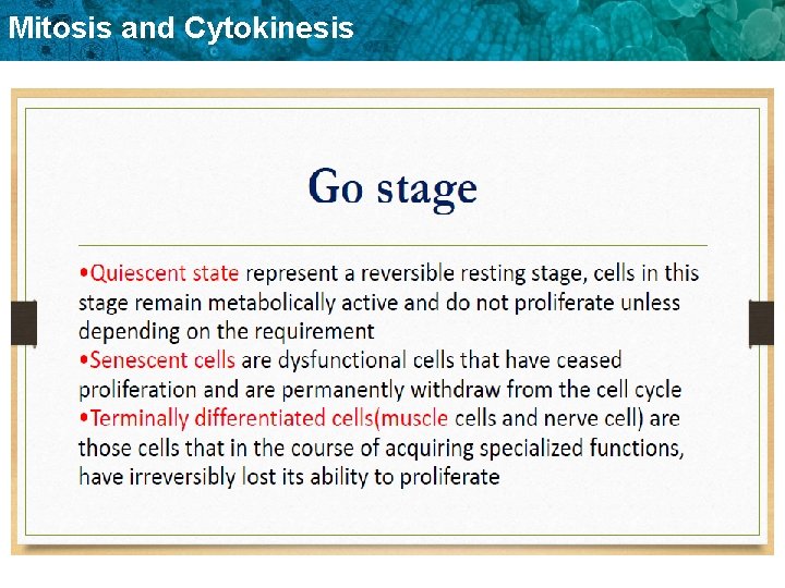 Mitosis and Cytokinesis 