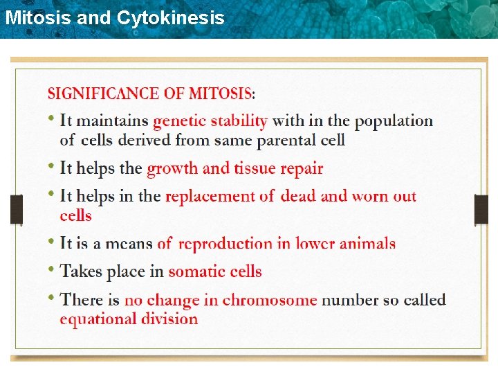 Mitosis and Cytokinesis 